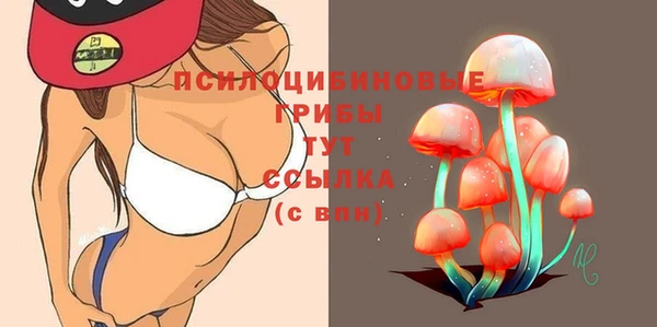 МДПВ Алексин