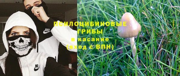 МДПВ Алексин