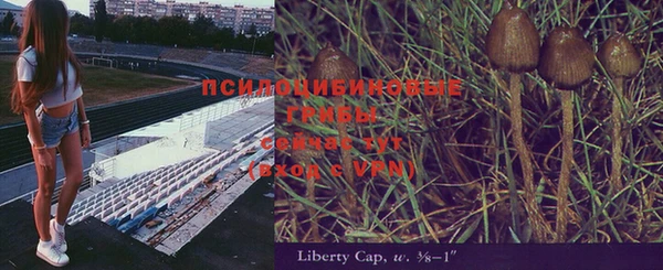 гашик Алексеевка