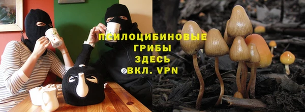 тгк Алзамай