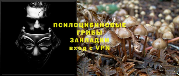 тгк Алзамай