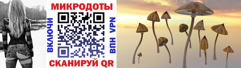 мега ссылки  Первоуральск  Галлюциногенные грибы мицелий 